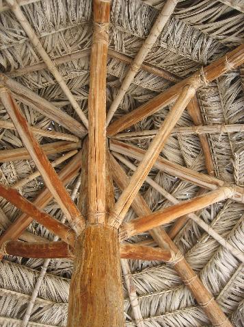 20060120110837   Frond Roof